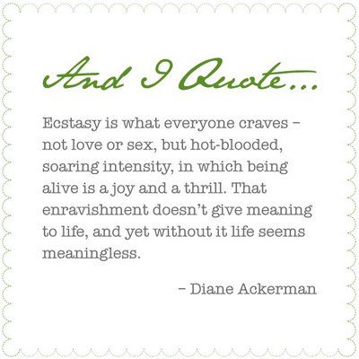 6c2459a7527153578168218a953e8947